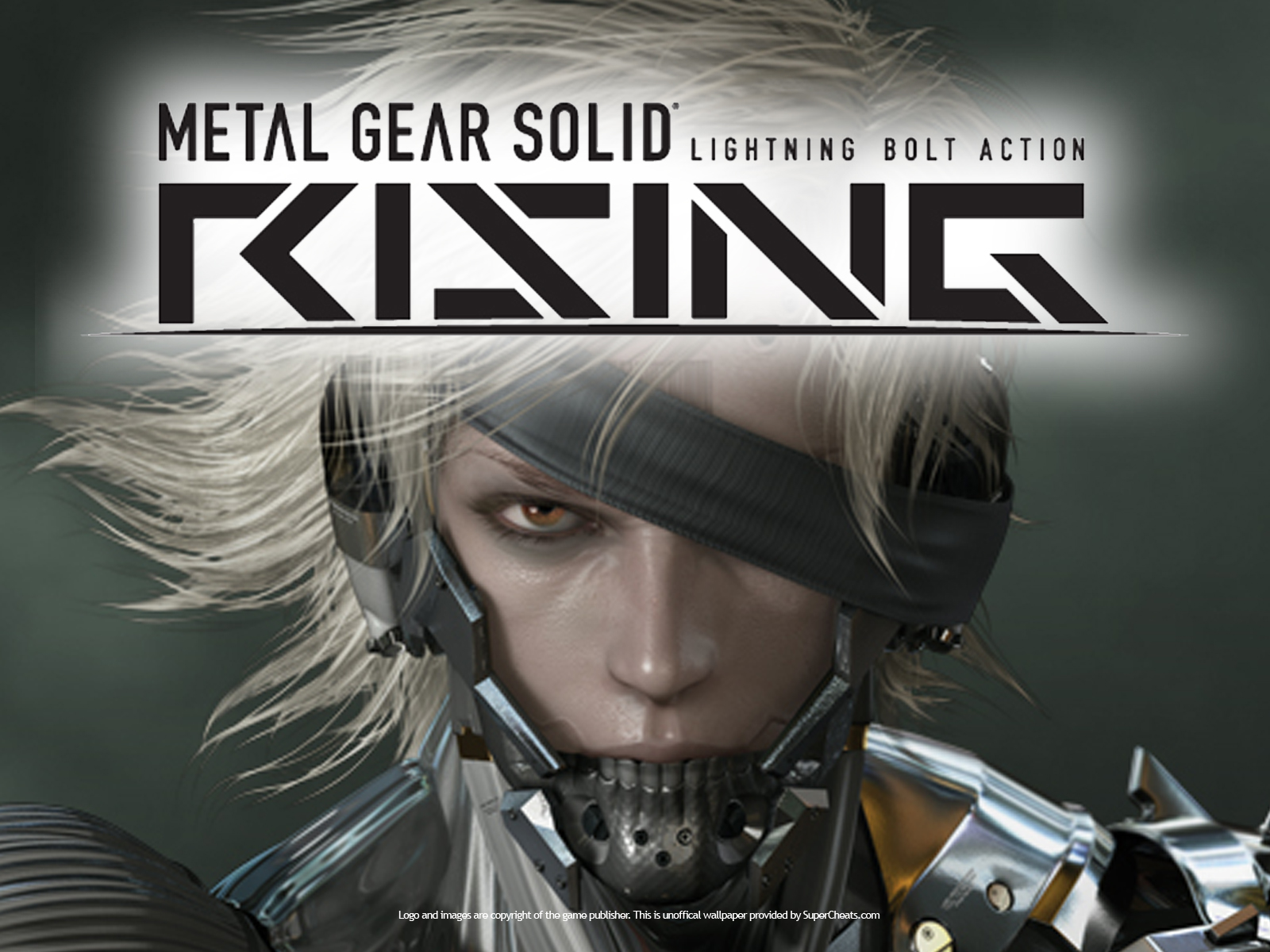 Wallpapers for Metal Gear Solid: Rising, select size ...
